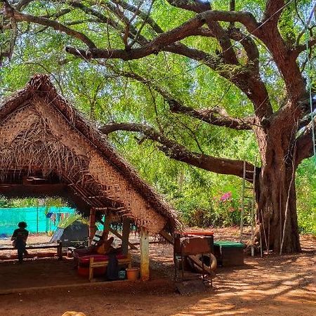 Travellers Tribe By Livelehood Habitat Albergue Auroville Exterior foto