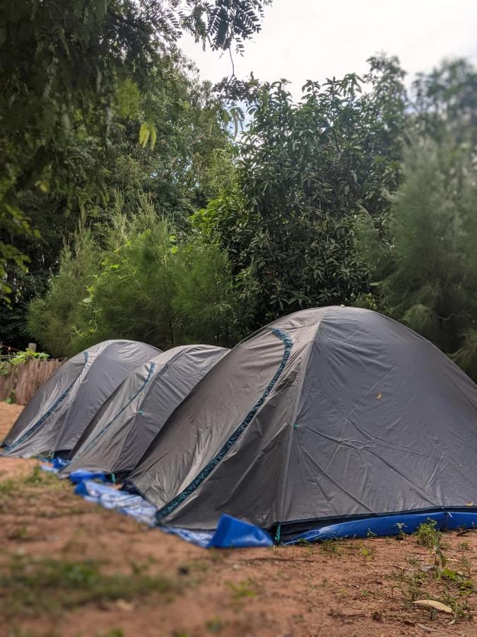Travellers Tribe By Livelehood Habitat Albergue Auroville Exterior foto