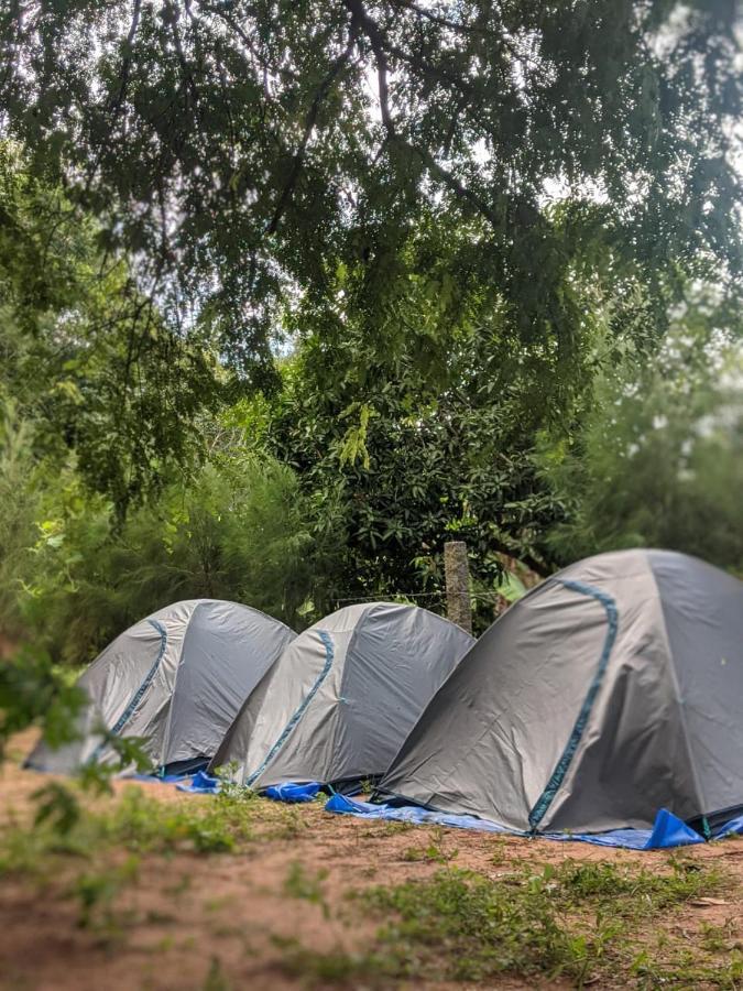 Travellers Tribe By Livelehood Habitat Albergue Auroville Exterior foto