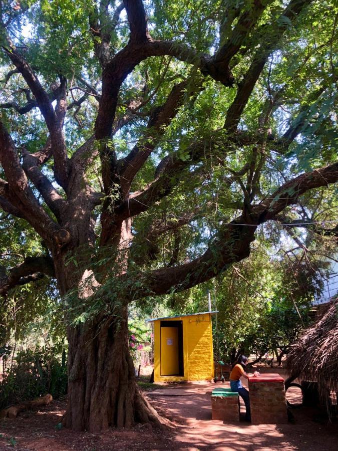 Travellers Tribe By Livelehood Habitat Albergue Auroville Exterior foto